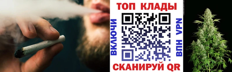 Что такое Курчалой Канабис  Псилоцибиновые грибы  А ПВП  Меф  COCAIN 