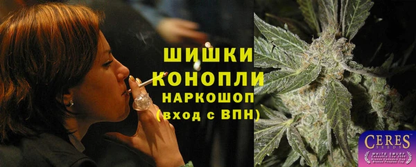 меф Няндома