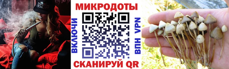 Псилоцибиновые грибы GOLDEN TEACHER магазин продажи Курчалой